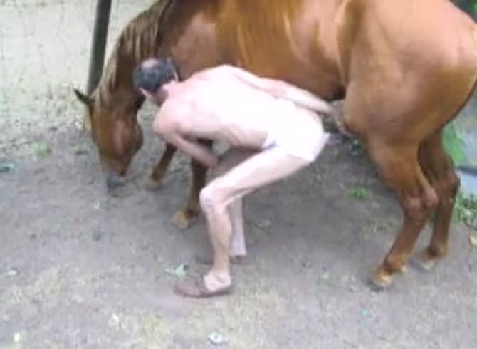 Video :Bald gay having horse anal sex in the farm